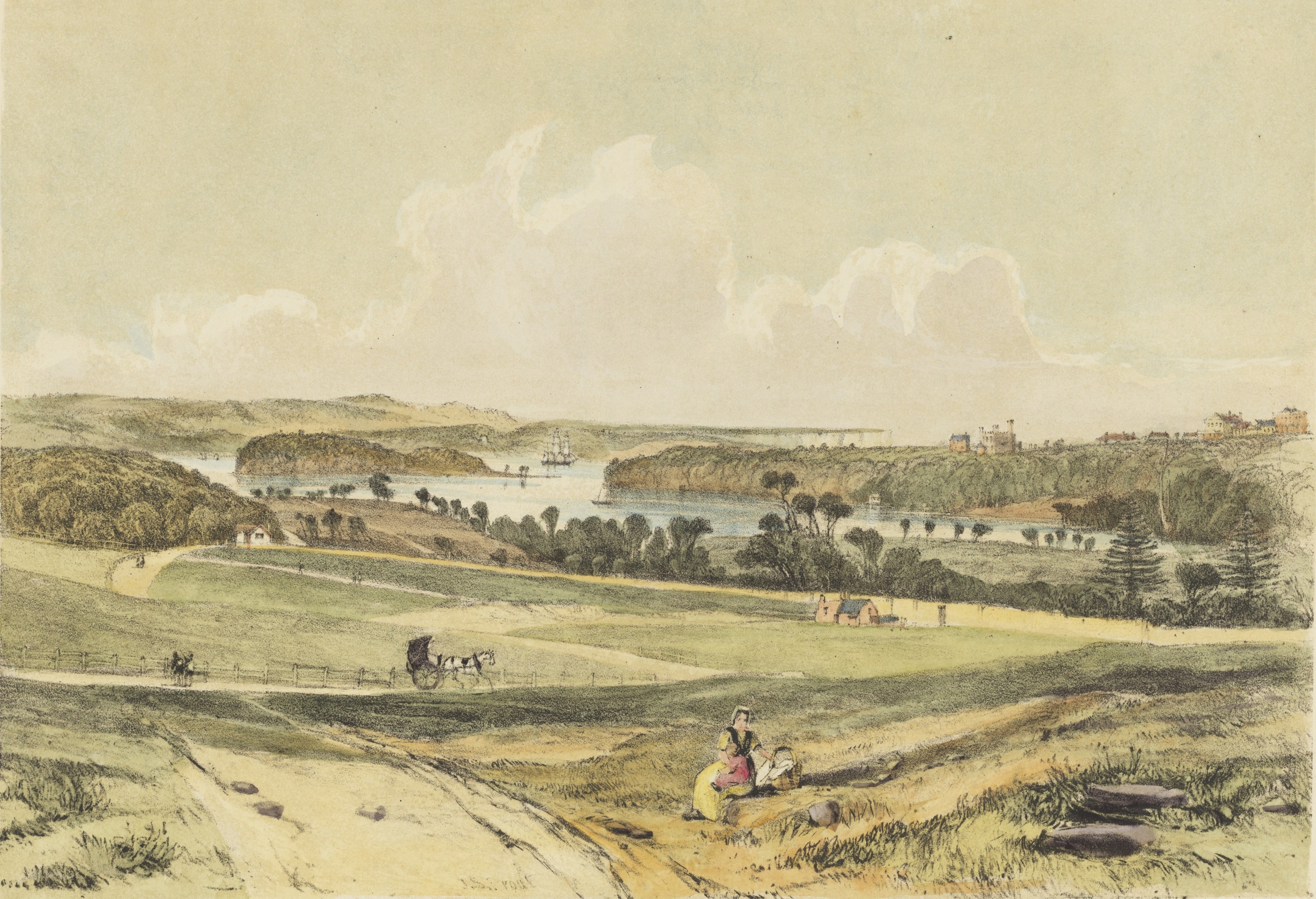 Illustration of Woolloomooloo Bay