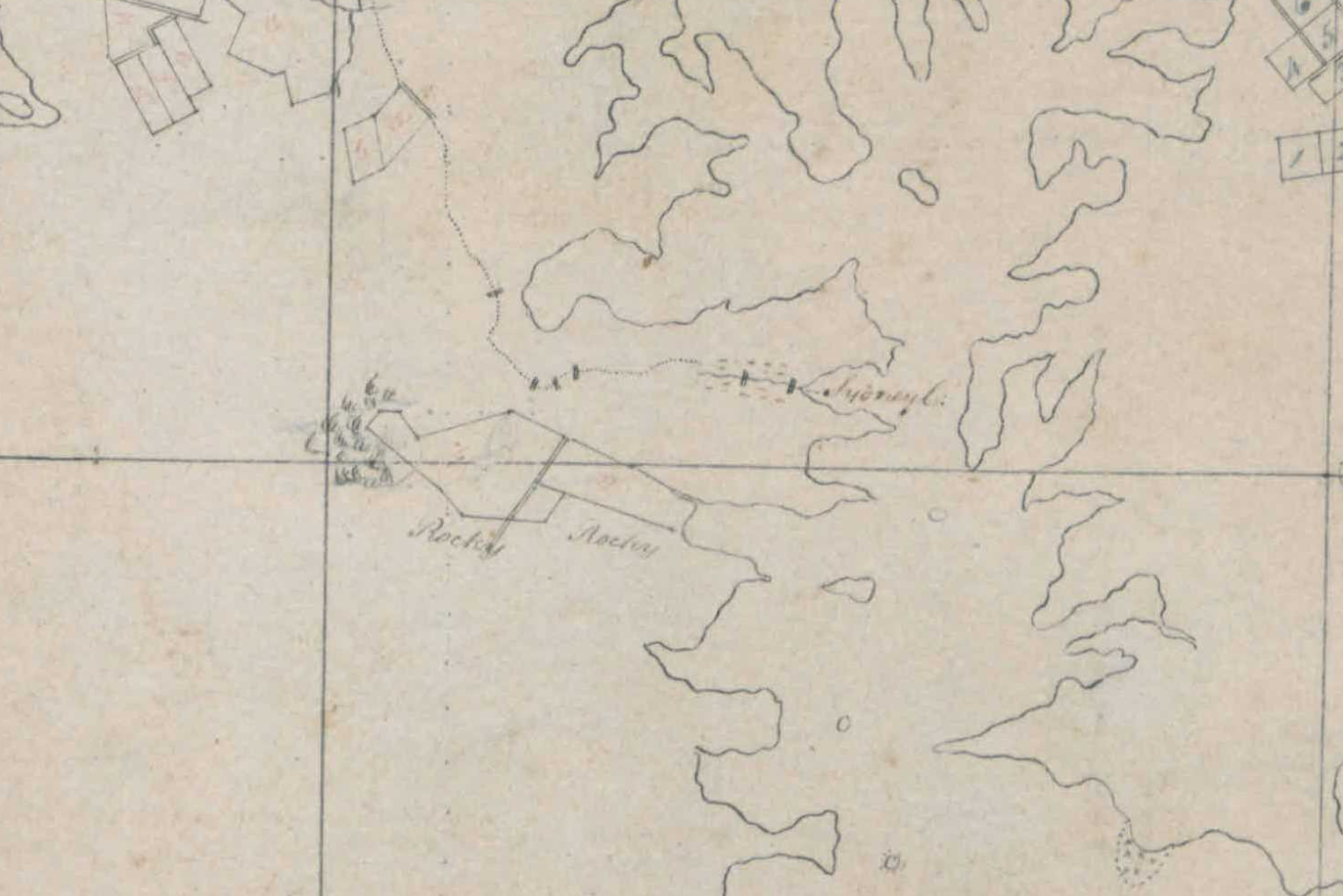 Plan of the Allotments of Ground granted from the Crown in New South Wales